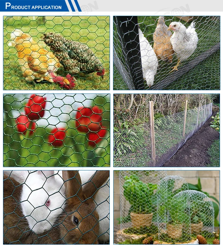 Wholesale High Quality 8 Foot Tall Hexagonal Chicken Wire Netting Mesh ...