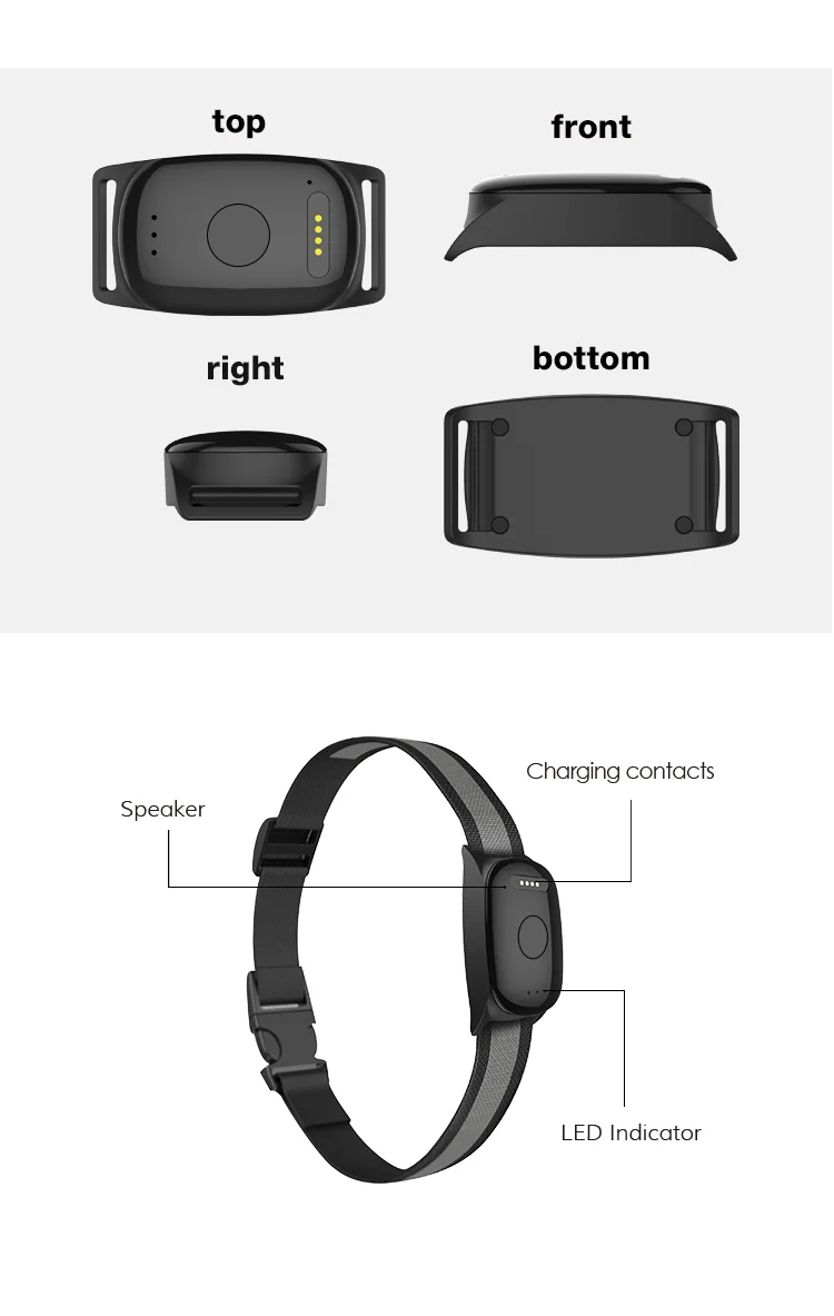 pet gps no monthly fee