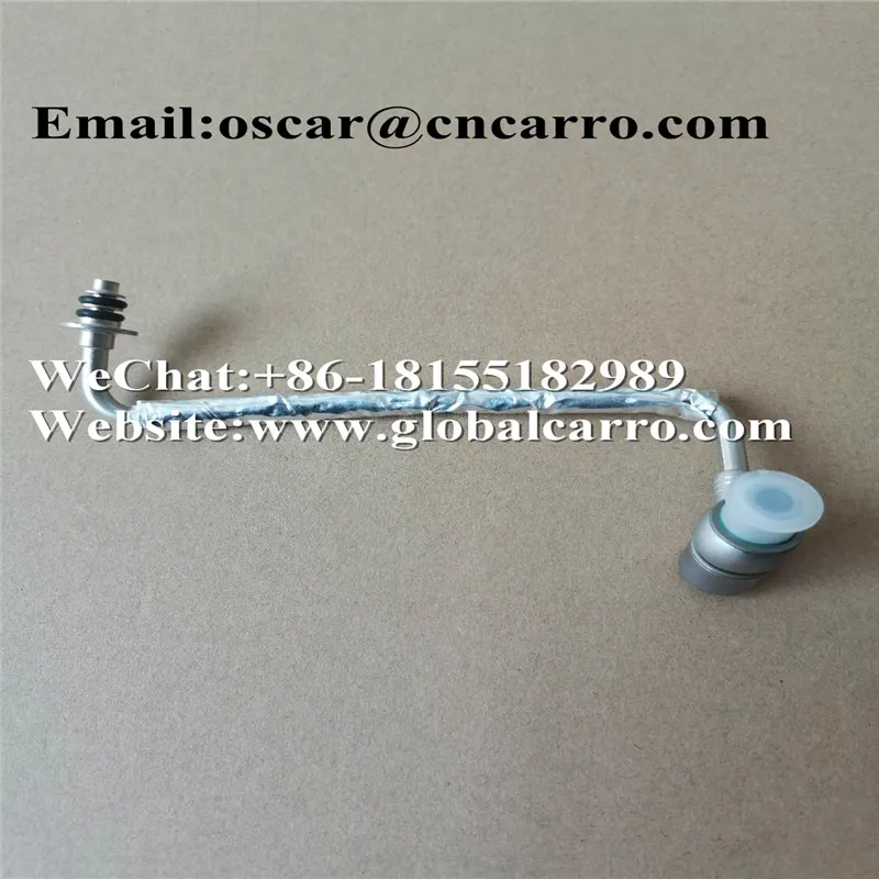 25198546  55592600.jpg