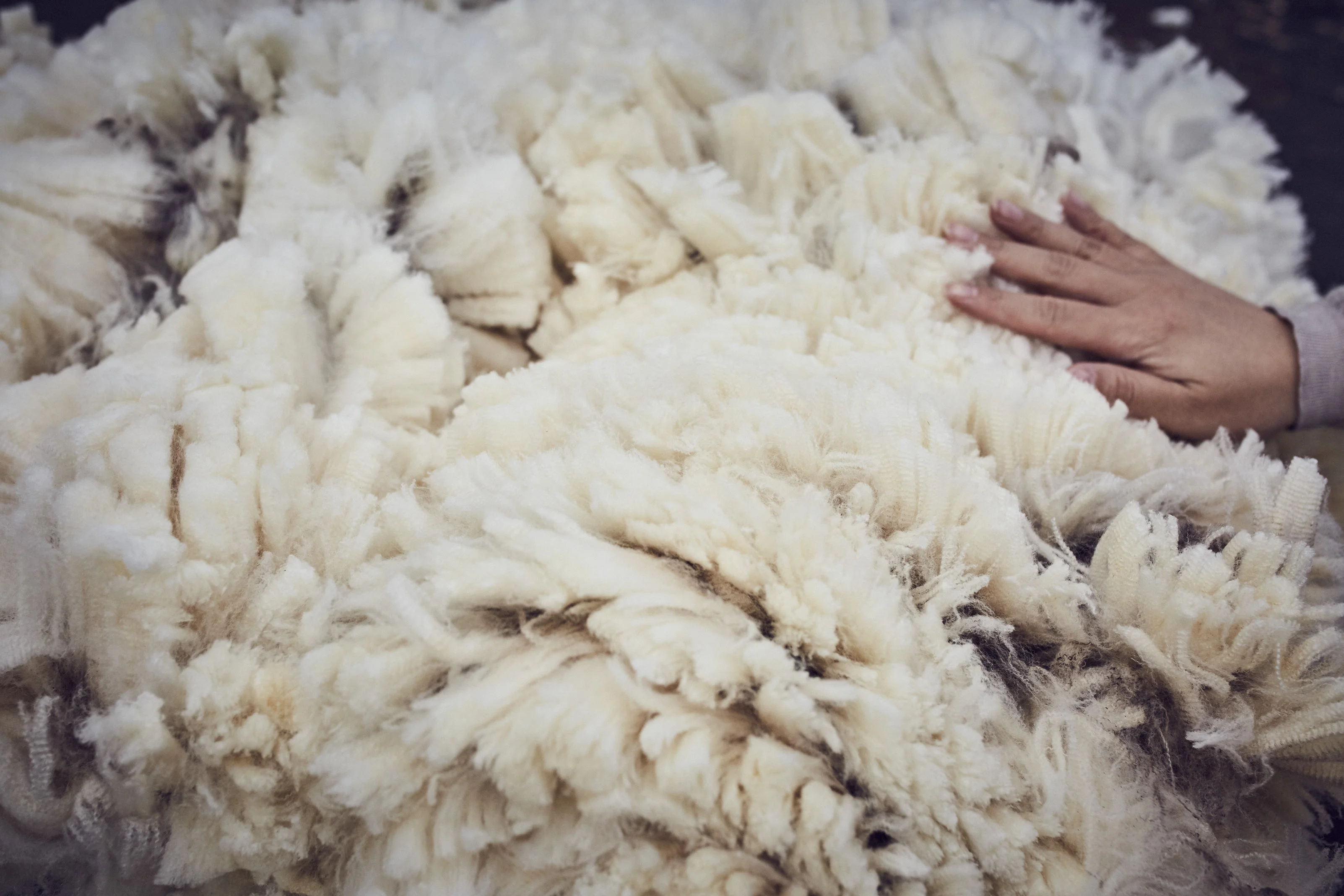 hot selling good quality upholstery mens uiting wool worsted