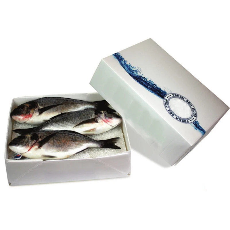 Factory Plastic Pp Hollow Sheet Frozen Fish Packing Boxes Fish Seafood