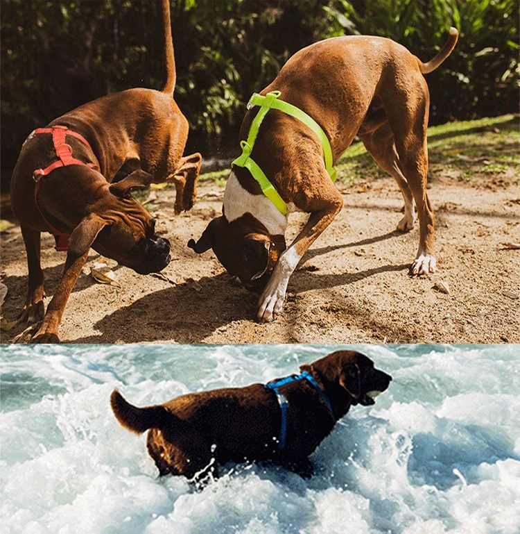 New Arrival Waterproof Pet Products H Style Waterproof Pvc Dog Harness