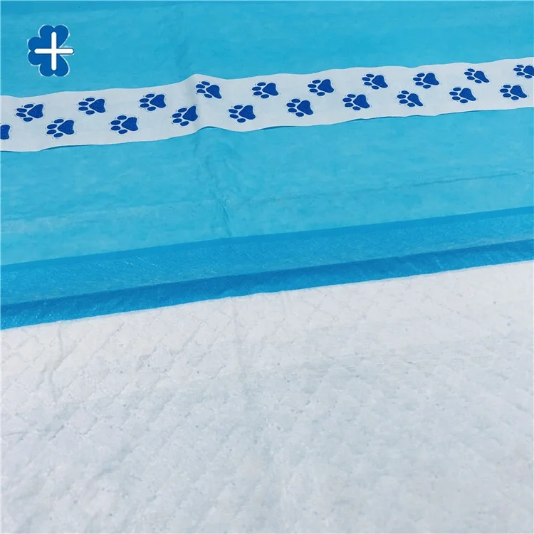 Hygienic Scented Disposable Pee Pads For Dogs With Fragrance Buy