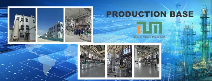 Factory introduction