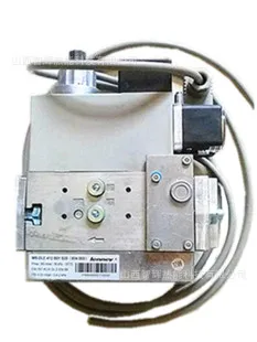 Machine Natural Gas Boiler, Tbg110Lxp, Stainless steel, Burner - detail 22
