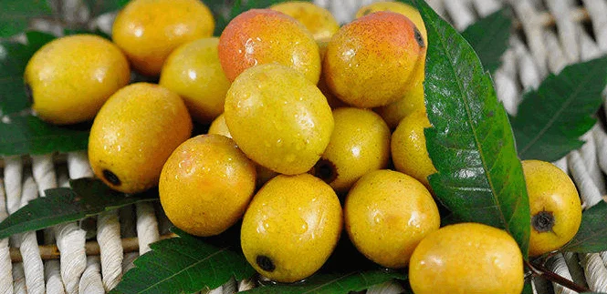 Chinese Vegan Healthy Fruit Snack Foods - Buy Snack Foods,Healthy Snack