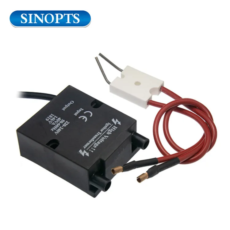 220v Input Ignition Coil Electronic Spark Igniter Buy Oven Light