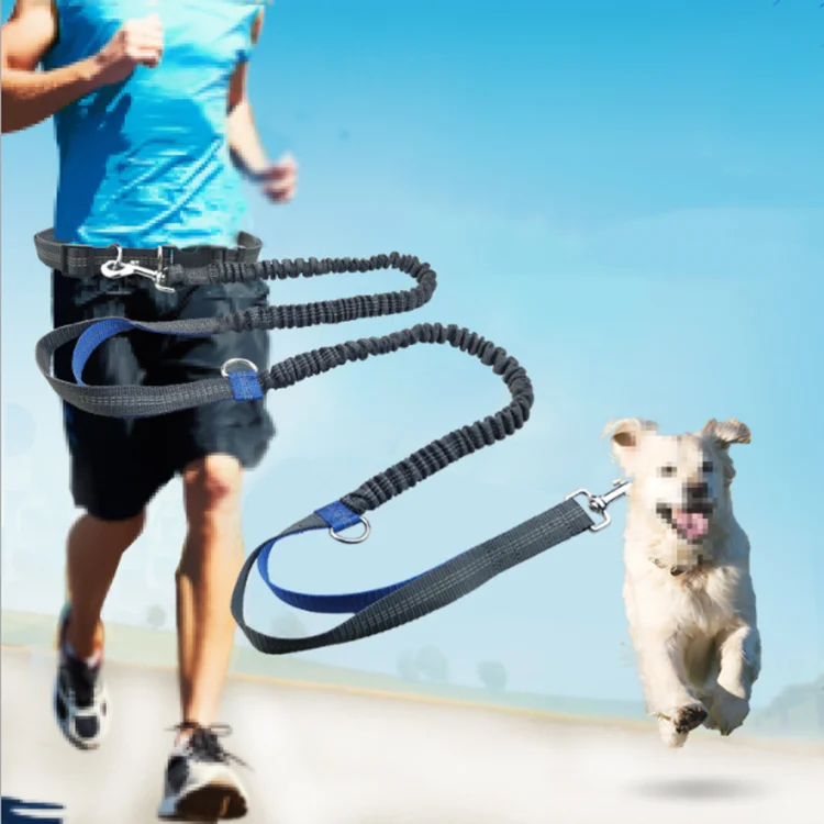 retractable waist leash
