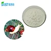 /product-detail/wholesale-cosmetic-ingredient-pure-snail-slime-extract-for-sale-60468676914.html