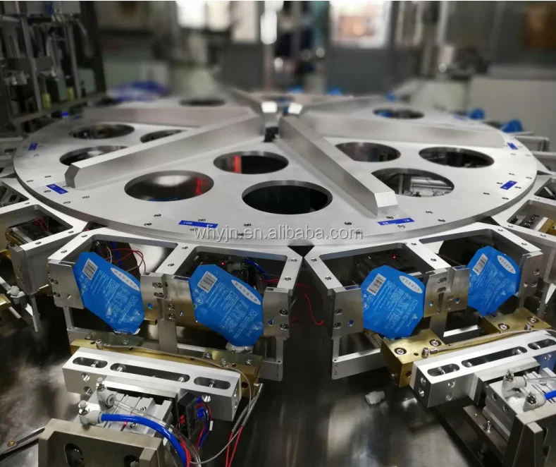 pouch insert machine  (2)