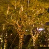 Quality warranty for LED Meteor Shower Falling Rain Light LED Xmas Tree String Light