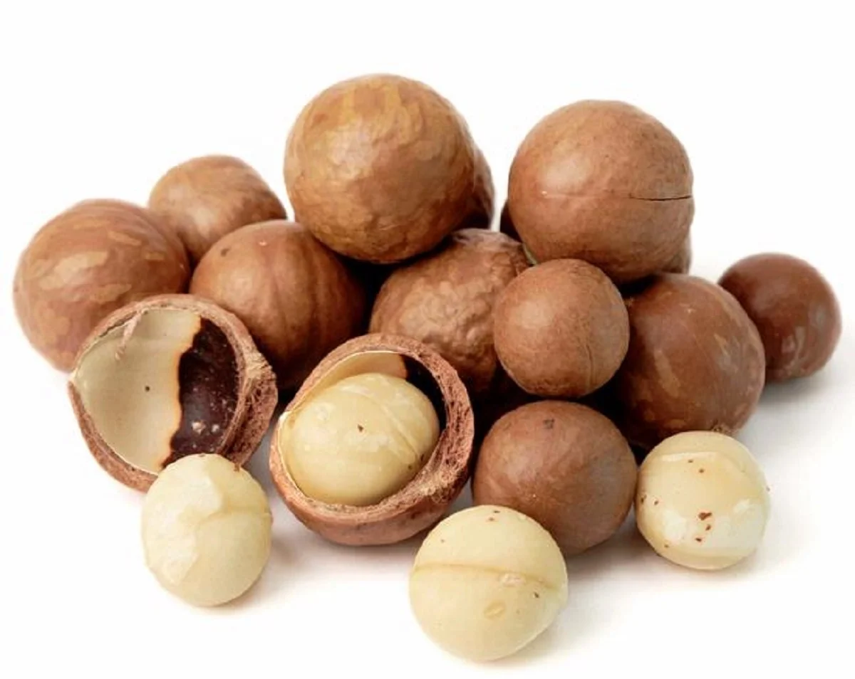 Macadamia Nuts For Sale Buy Macadamia Nuts Price Macadamia Macadamia