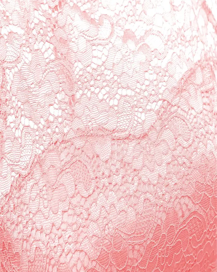 2019 Woman Apparel Lace Upper Scoop Skater Dress Bride Mother Dresses