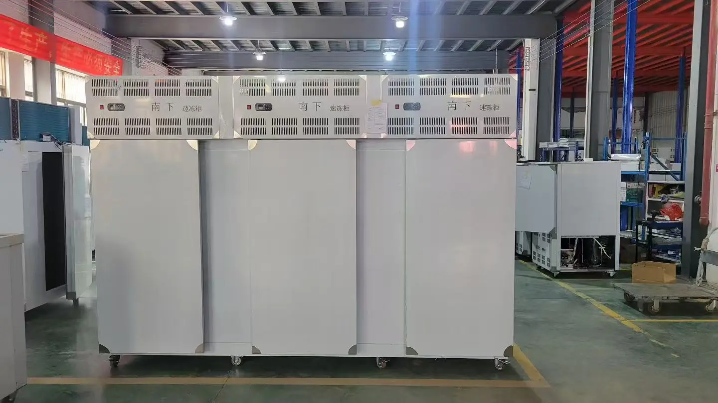 Blast Freezer, 220 V, 7000 - detail 14