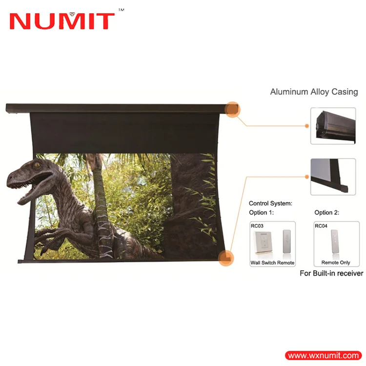 Chinese Suppliers Motorized Tab Tensioned Ceiling Mounted  Projector Screen