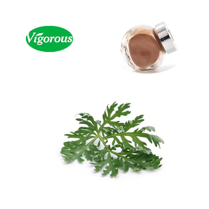 hoja de artemisia absinthium