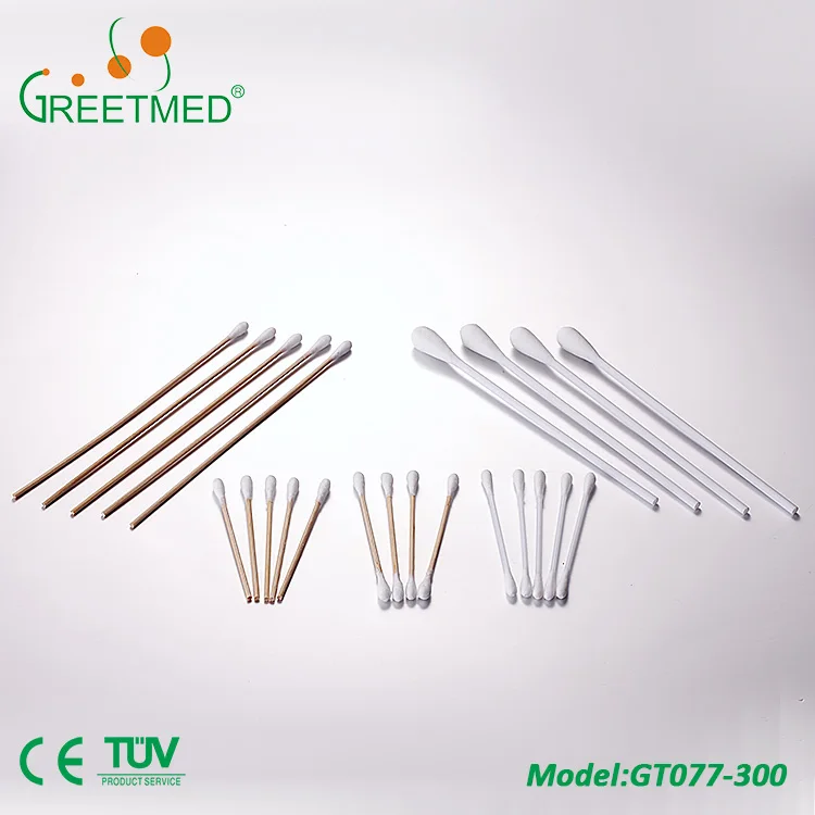 GT077-300.jpg