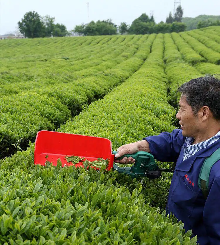 sc-300 一人茶摘机电池茶叶收割机