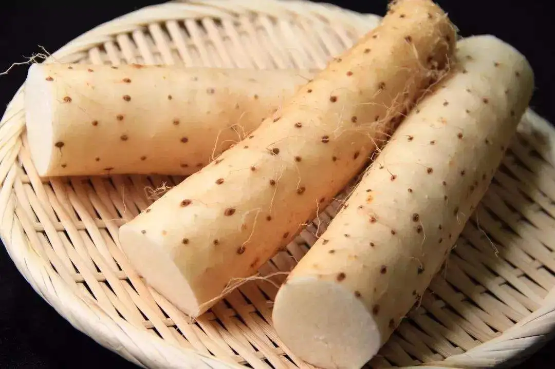 Wild Elephant Foot Yam Flour Dioscorea Polystachya Products Yam Extract Chinese Yam Powder Buy Yam Powder Chinese Yam Yam Extract Product On Alibaba Com