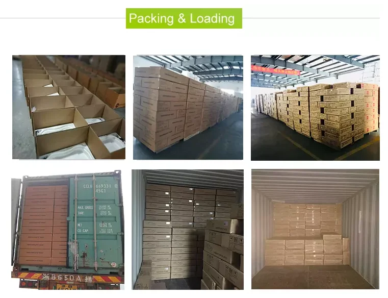 container shipping.png