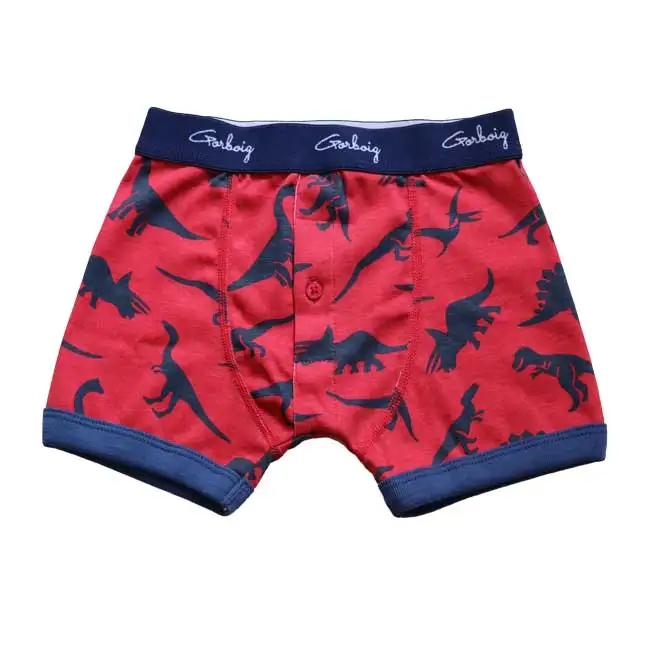 dinosaur boxers