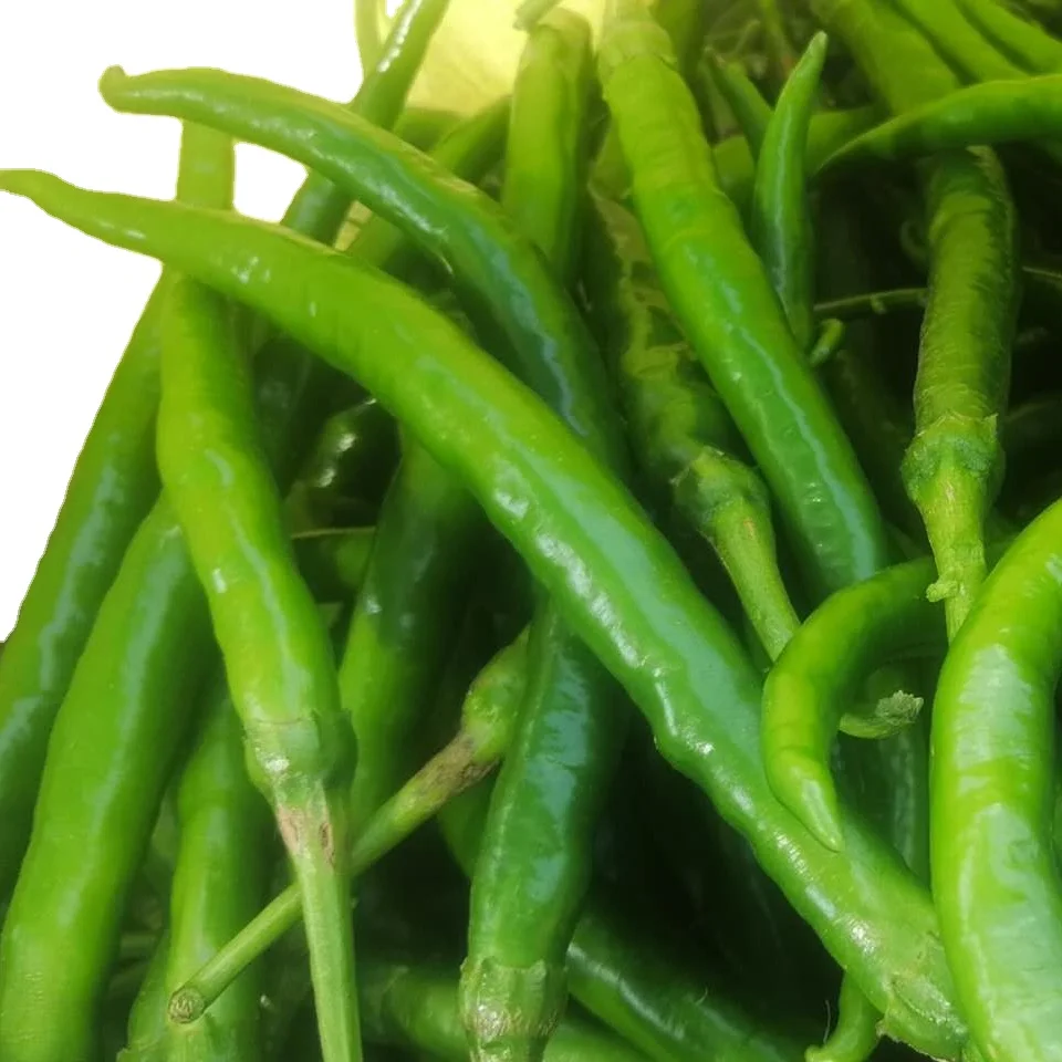 
Factory Plant supplier Hot Red Green Red Fresh Chilli in Frozen 