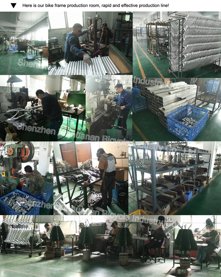 rich bit ebike factory (1).png