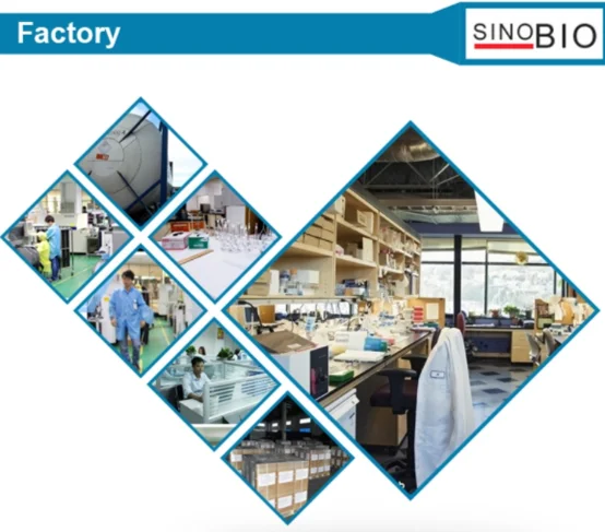 paste-pic-dp_uuid_kywvn