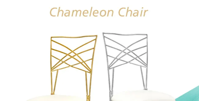 Chameleon_01.jpg
