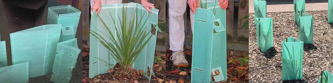 Corflute Tree Guard Corflute Tree Guard