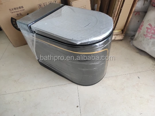 toilet-1.jpg