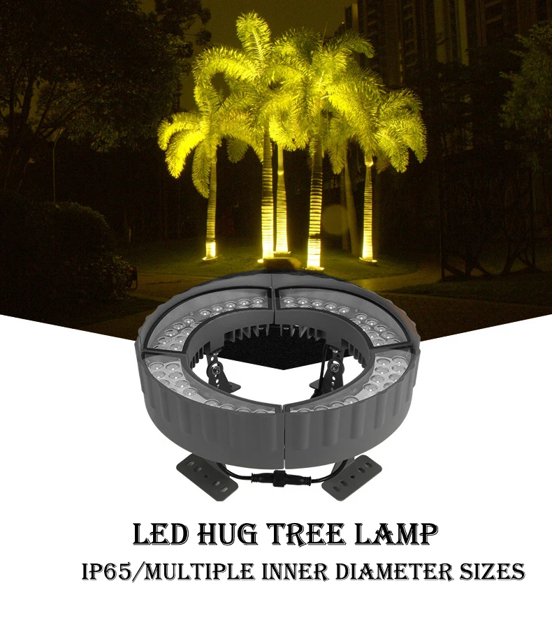 10582781369_2144752598 .jpg