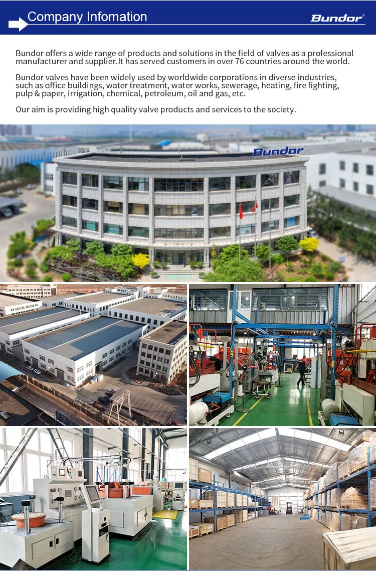 company information.jpg