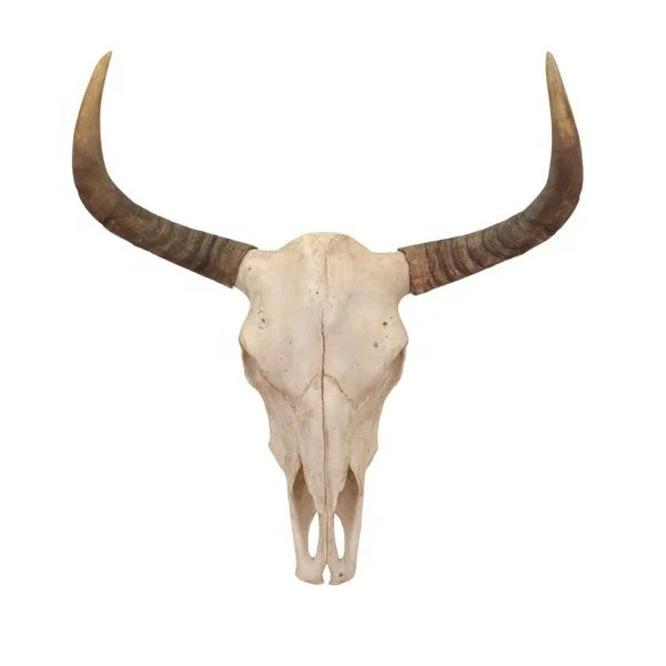 Bull Head Home Wall Decoration Handmade Resin Wholesale Modern SCULPTURE Handmade Polyresin Home Decor Figurine Artificial White manufacture