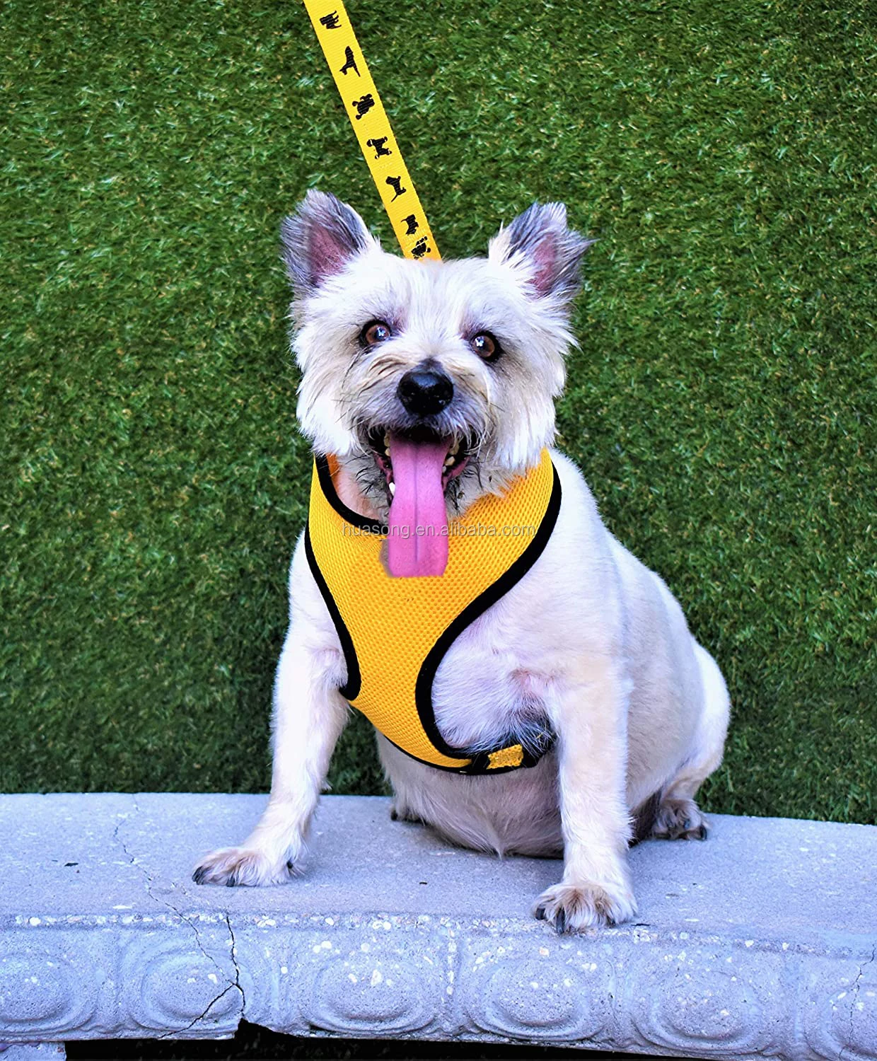 custom harness dog collar adjustable cute pet dog harness vest