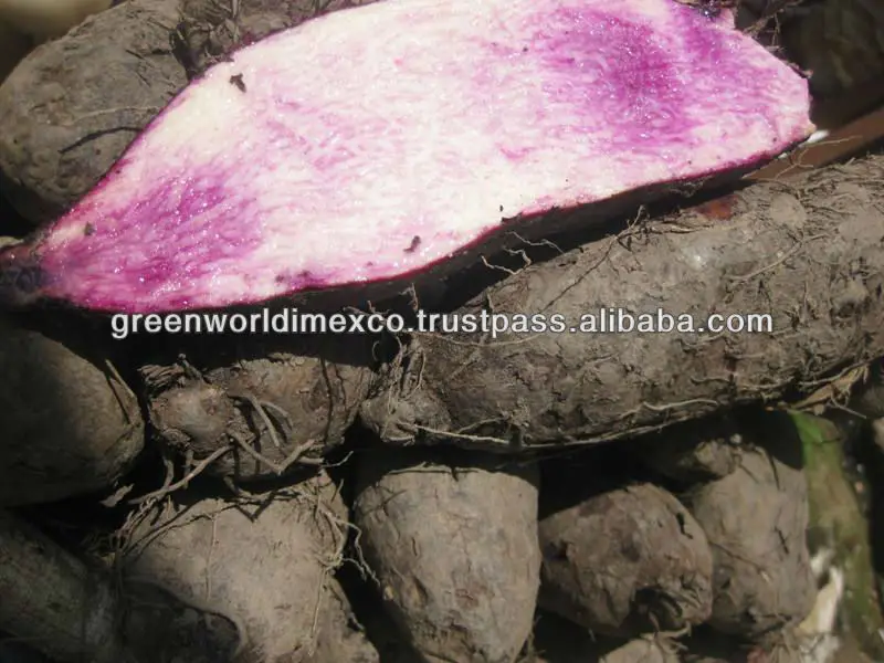 PREMIUM QUALITY FRESH PURPLE YAM WITH COMPETITIVE PRICE FOR NEW CROP