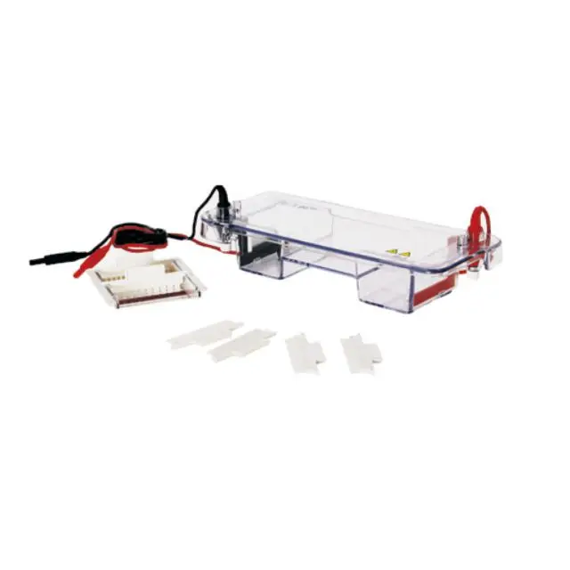 Cheap Price Laboratory Gel Electrophoresis Tank Price Elp Bt View