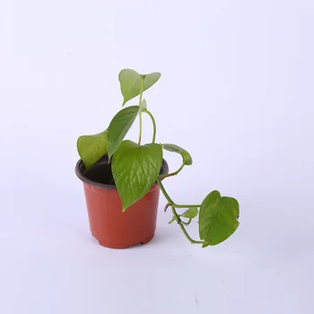 g51 different sizes home garden flowerpot durable