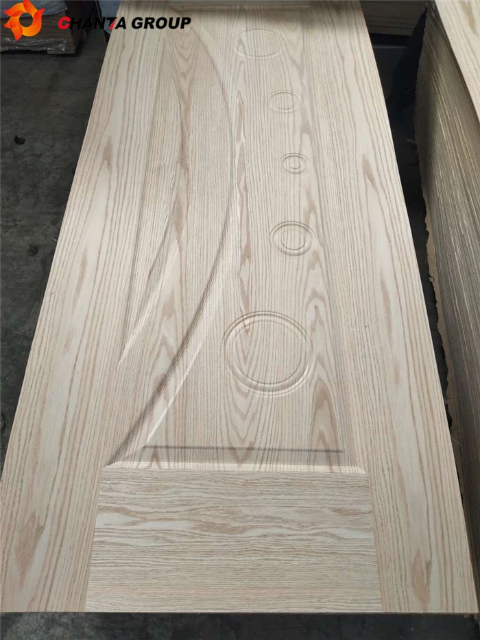 Door Skin17_