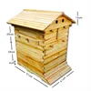 flow hive bee,flow hive beekeeping