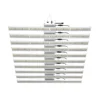 Samsung lm561c/lm301b full spectrum led grow light 600W 800w quantum board for horticulture indoor hydroponic growing system