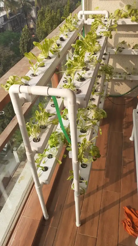 indoor grow systems