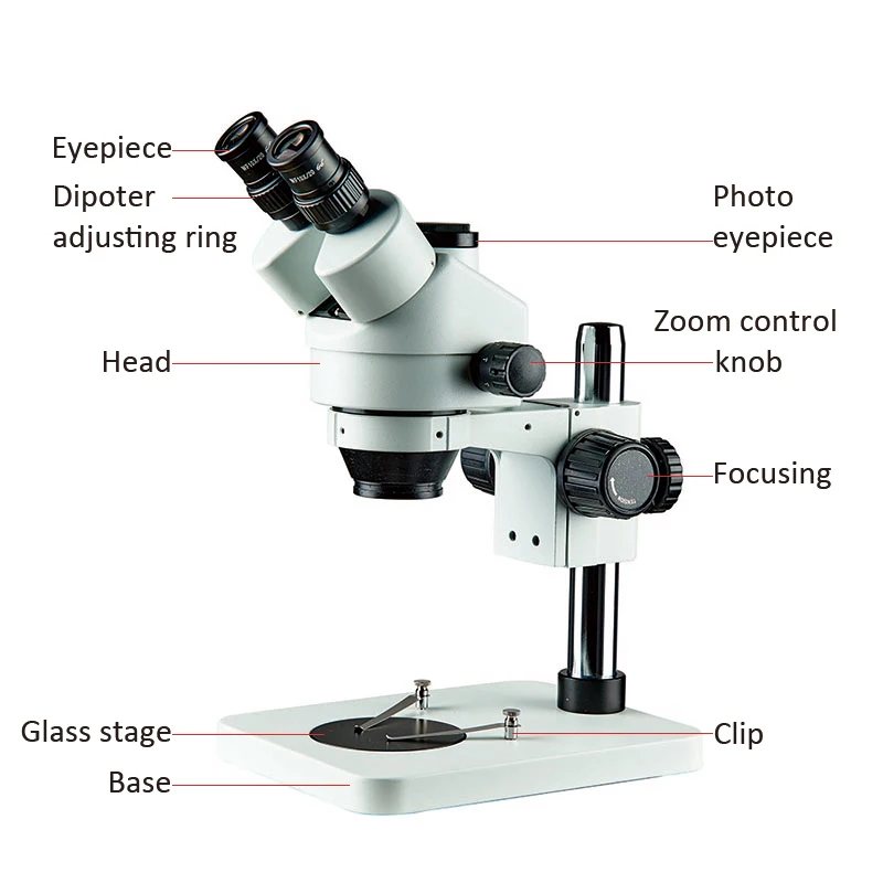 7x 45x Continuous Zoom Biologico Usado Compuesto Optico Laboratorio ...