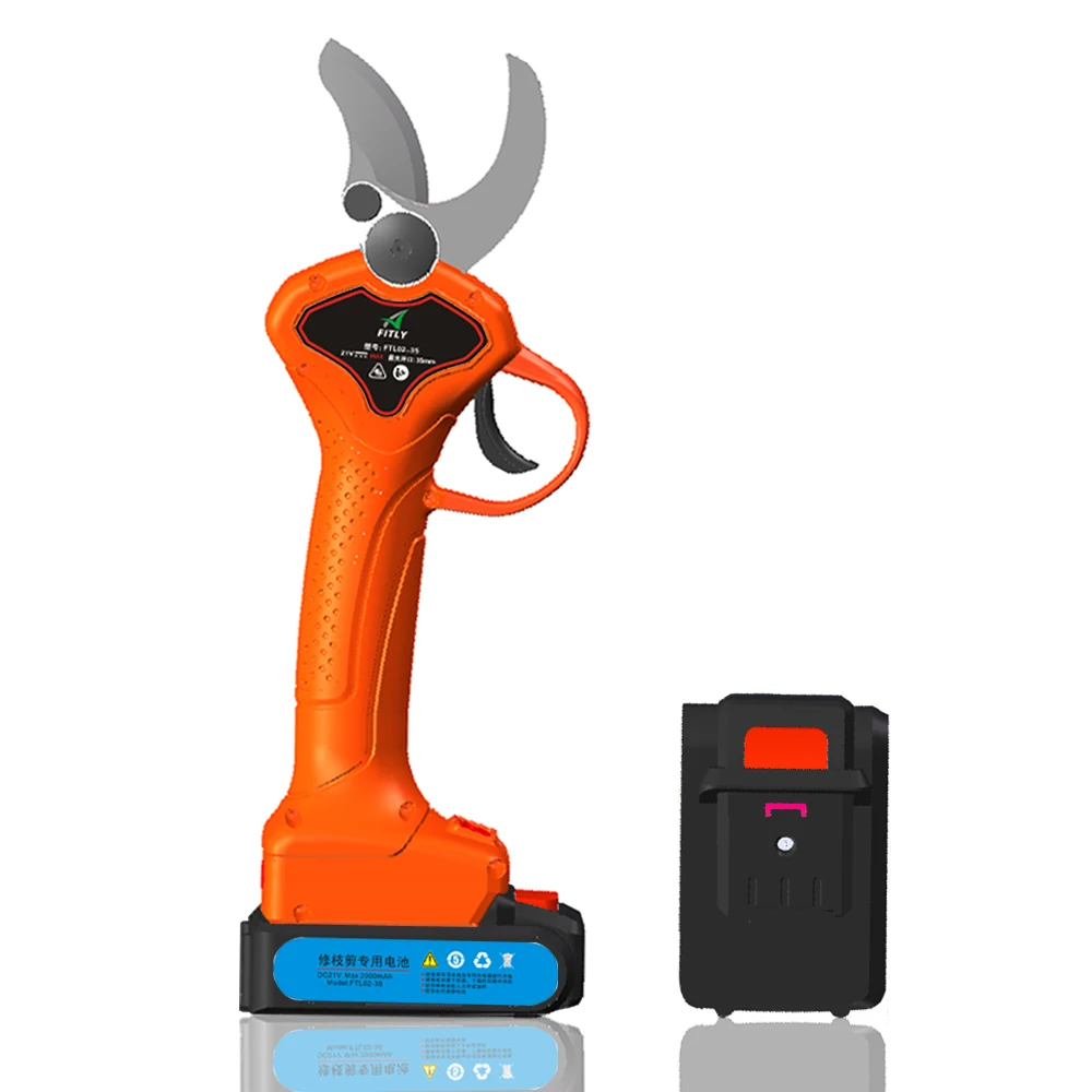 orange 1.jpg