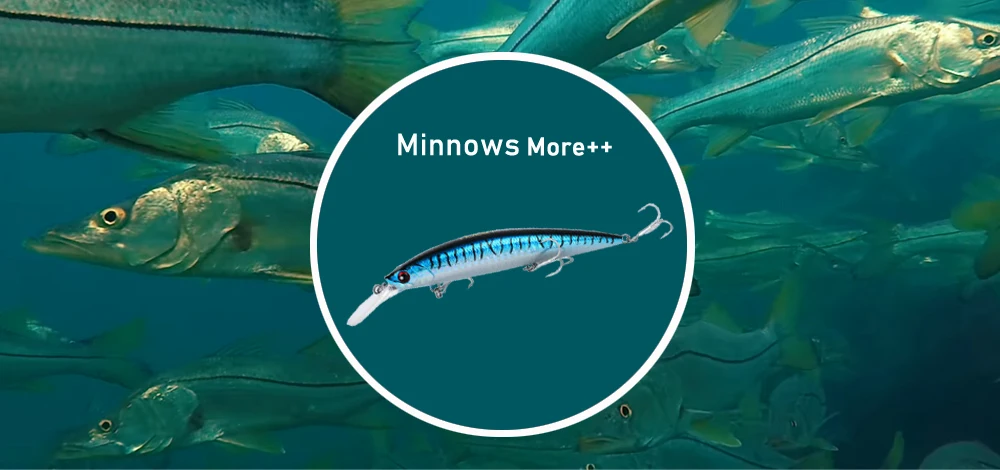Minnows more 