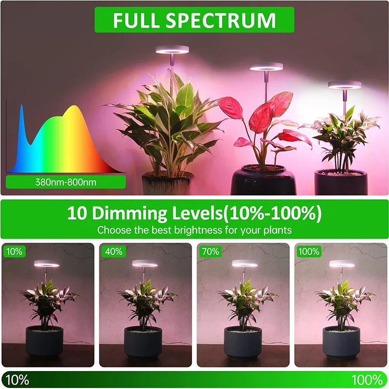 product 6 inch angel ring led indoor plant growth light fleshy green aluminum flower smd source 3000k color for sun growing-10