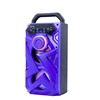 Samtronic Karaoke Speakers Portable PA System, With Bluetooth Changing Dancing LED Lights HY-09