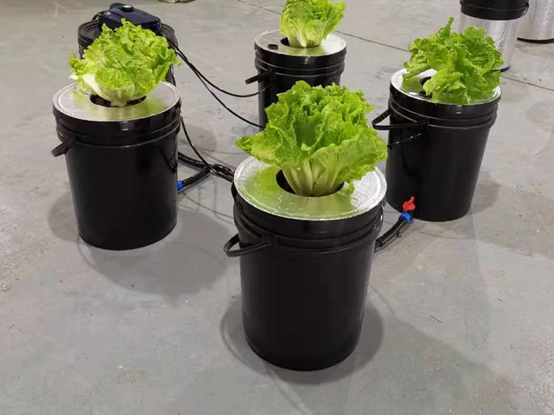 Dwc Hydroponics Growing Systems Home Hydroponic System Planter 5 Gallon ...