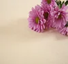 Functional Bamboo Terry Cloth