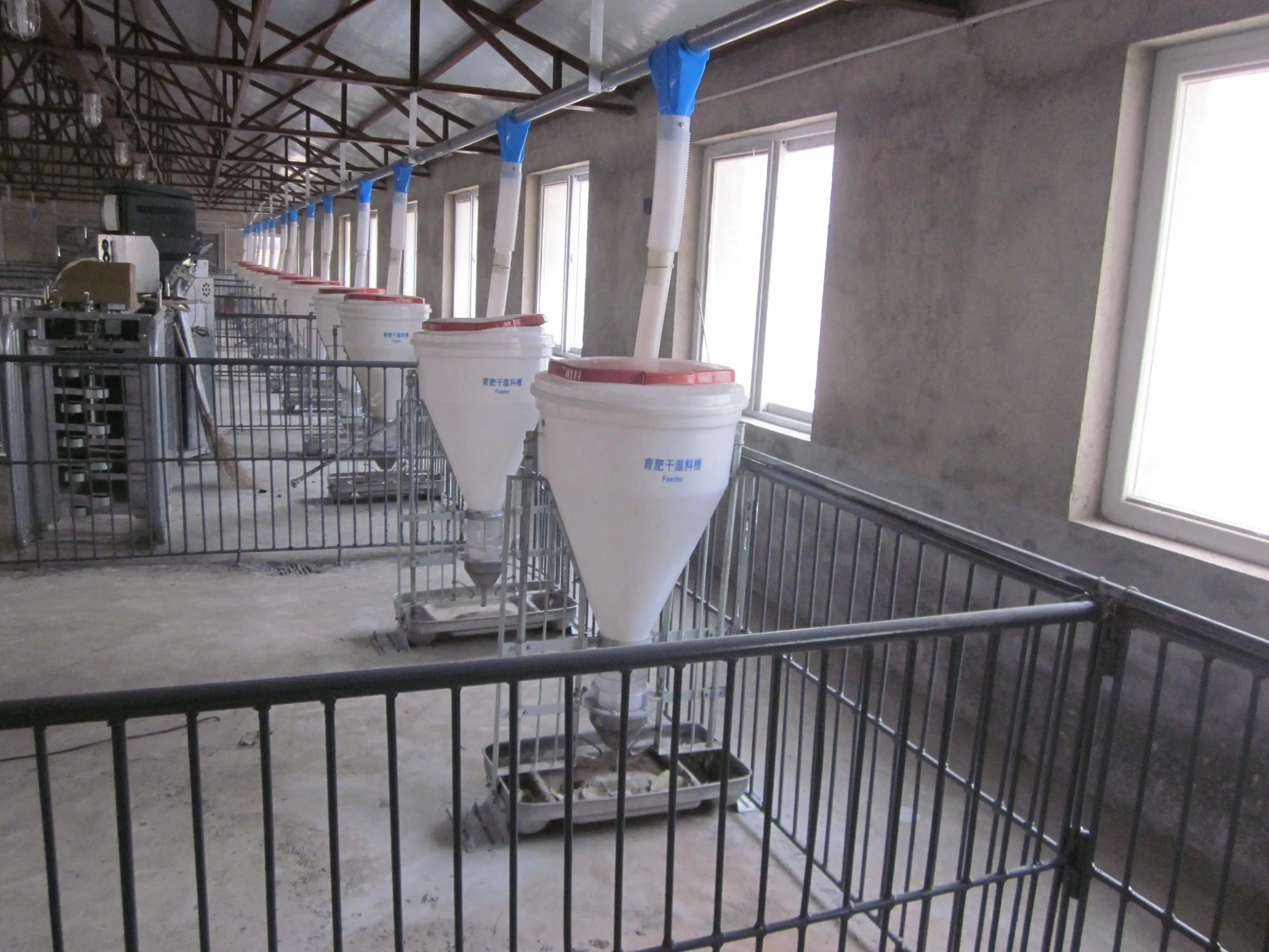 Pig Automatic Auger Feeding System Spring And Auger Animal Feed Auger